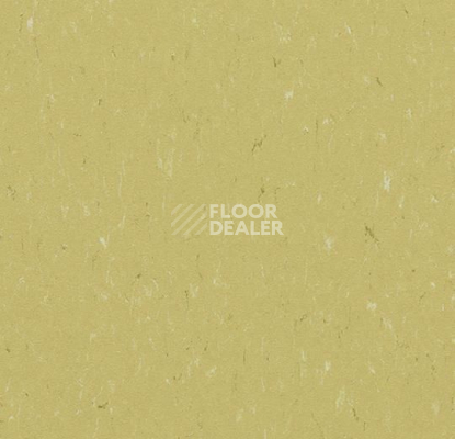 Линолеум Forbo Marmoleum Solid Piano 3634-363435 meadow фото 1 | FLOORDEALER